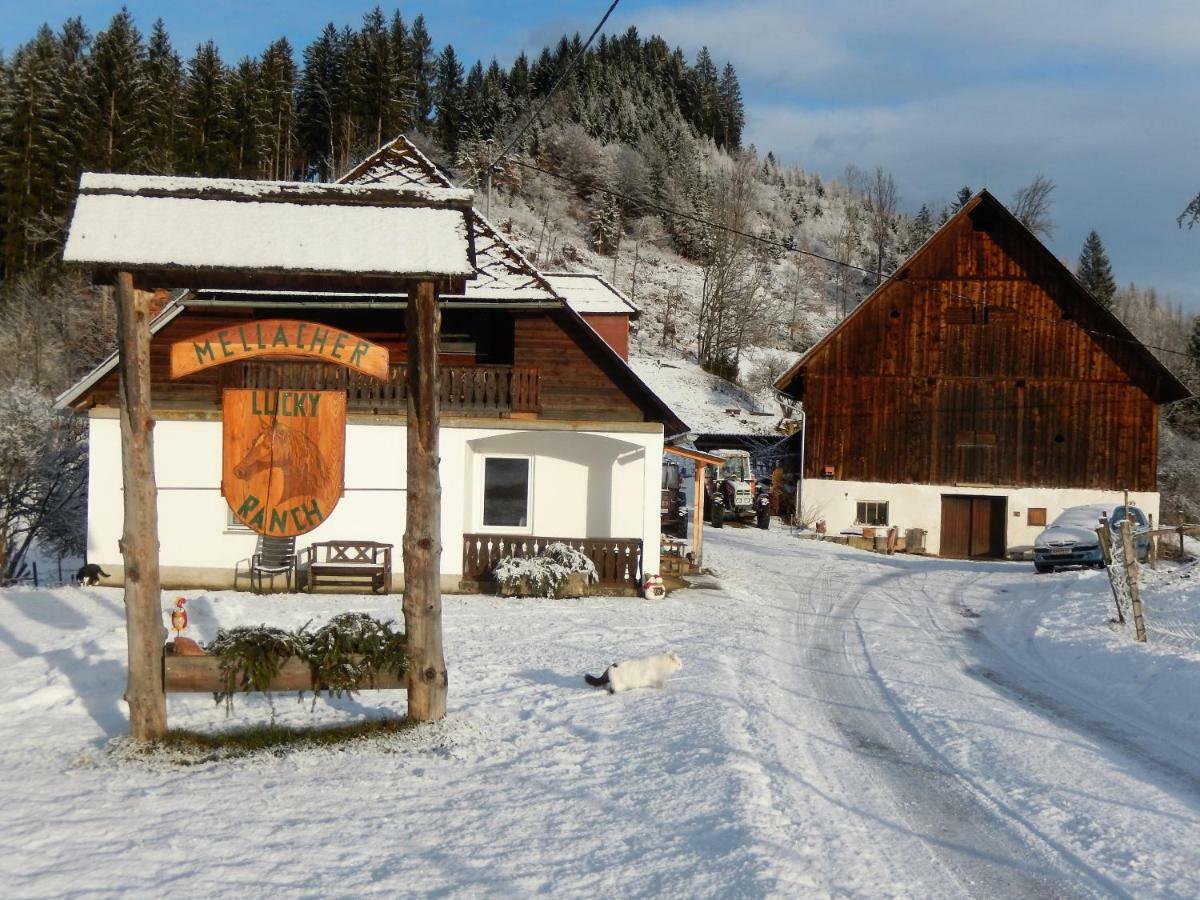 Ferienhaus Am Reitbauernhof Luckyranch Mellach  Экстерьер фото
